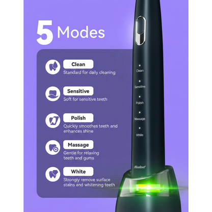 Smart Sonic Electric Toothbrush